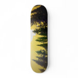 Golden skies skate decks