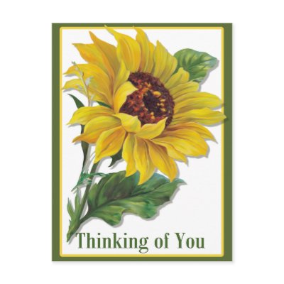 Golden Sunflower Postcards by Memory_Lane