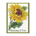 Golden Sunflower postcards