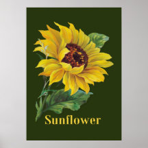 Golden Sunflower Print