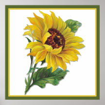 Golden Sunflower Square Print