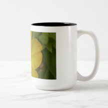 Golden Sunny Flower Ceramic Mug.
