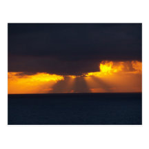 Golden Sunrise Postcard