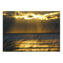 Golden Sunset Business Card Templates