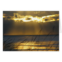 Golden Sunset Cards