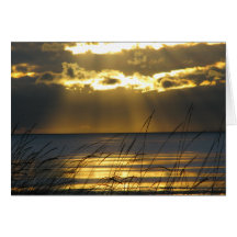 Golden Sunset Greeting Cards