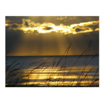 Golden Sunset Post Cards