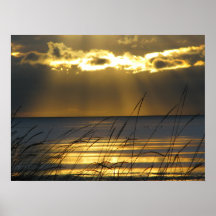 Golden Sunset Posters