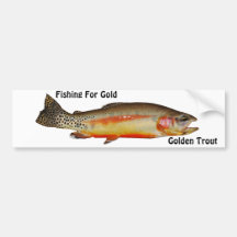 Golden Trout Bumper Sticker