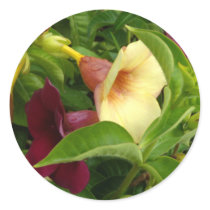 Golden Trumpet Sticker