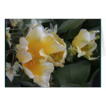 Golden Tulips Greeting Card