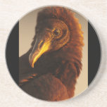 Golden Vulture Beverage Coasters