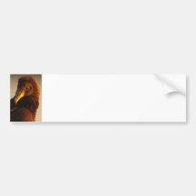 Golden Vulture Bumper Sticker