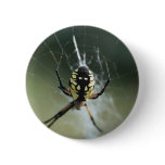 Golden Weaver Spider Pin