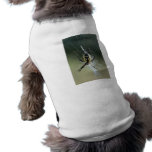 Golden Weaver Spider Pet Shirt