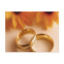 Golden Wedding Bands and Sunflower Post Cards