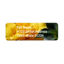 Golden Yellow Rose Bud Mailing Label