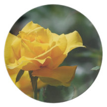 Golden Yellow Rose Bud Plate