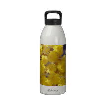 Golden Yellow wattle up close Drinking Bottle