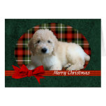 "GoldenDoodle Christmas Card"