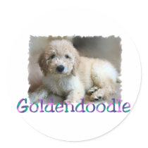 Goldendoodle Lovers Gifts Round Sticker