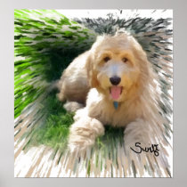 Goldendoodle Poster