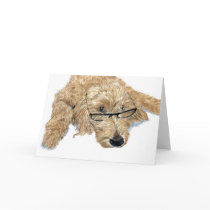 Goldendoodle Stella Greeting Cards