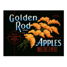 Goldenrod Post Card