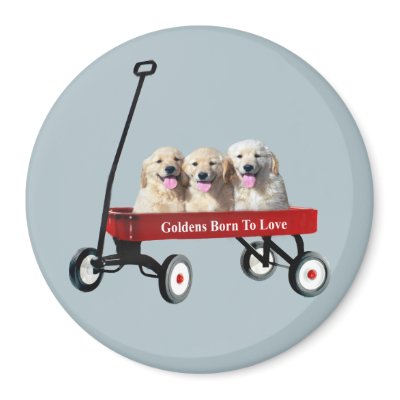 Goldens In Wagon Magnet by normagolden