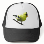 Goldfinch hat
