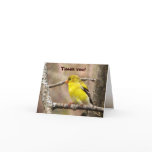 Goldfinch Thank You