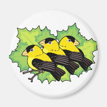 goldfinches magnets