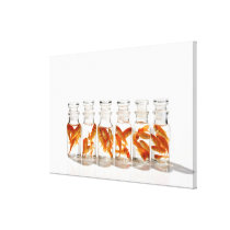 Goldfish 7 gallery wrap canvas