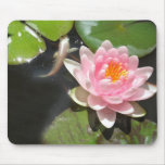 goldfish and lily mousepad