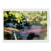 Goldfish Blank Cards