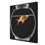 Goldfish in bowl 2 stretched canvas print