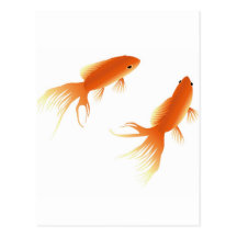 GOLDFISH POSTCARD