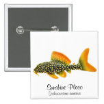 Goldie Sunshine Pleco Pin