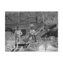Goldminers Gold Rush Miners ~ California 1850 Post Card