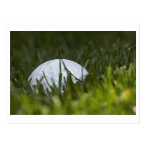 golf ball hiding post card