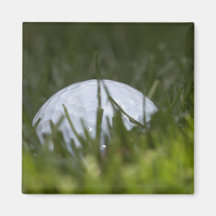 golf ball hiding refrigerator magnet