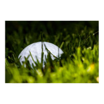 golf ball hiding remix posters