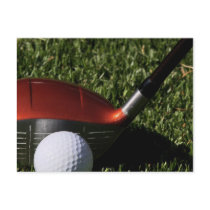 Golf Iron and Ball Postcard