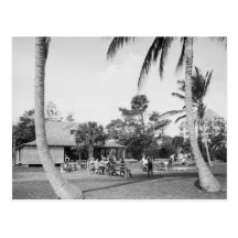 Golfing in Palm Beach, 1904 Post Card