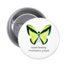 Goliath Birdwing Butterfly with Name Pin