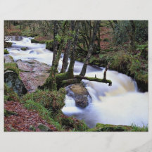 Golitha Falls, Cornwall, England at the Cornish Ri Custom Flyer