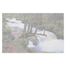 Golitha Falls, Cornwall, England at the Cornish Ri Custom Stationery