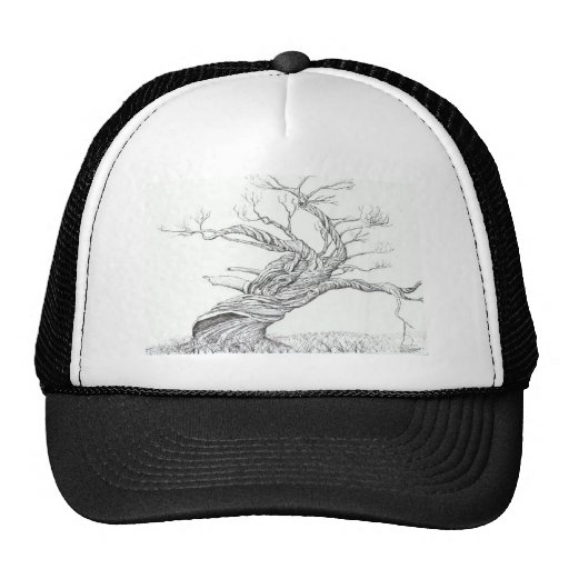 Gomme de neige Mt Kosciusko national. Parc Austral Casquettes De Camionneur