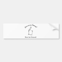 Gonna get Old Someday?  Better vote Democratic! Bumper Sticker