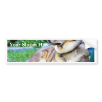 Good Dog Bumper Stickers
